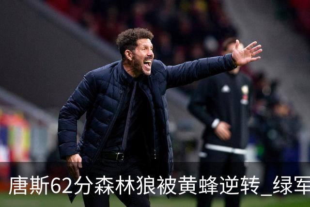 唐斯62分森林狼被黄蜂逆转 绿军力克独行侠